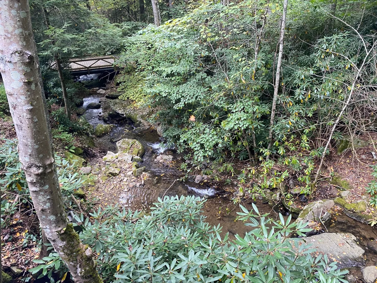 A tranquil stream meanders through lush greenery, with a sturdy bridge inviting guests to explore further. The natural setting offers a picturesque backdrop for meditation, nature walks, or simply taking in the calming sounds of water.