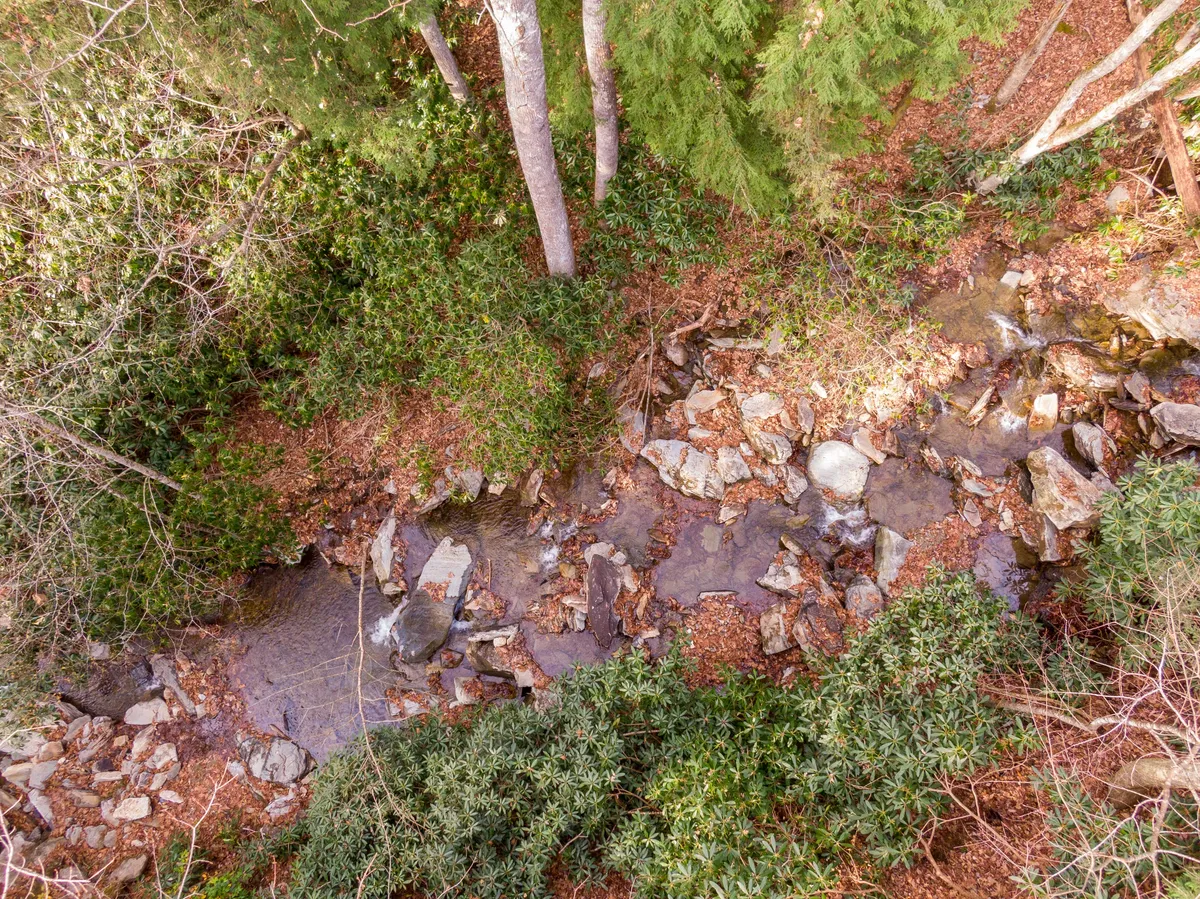 A tranquil creek flows through lush greenery and rugged rock formations, creating a peaceful natural retreat. The scene invites wildlife spotting, meditation, or simply soaking in the sights and sounds of the mountain setting.
